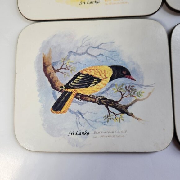 Chelsy Coasters Tropical Birds Sri Lanka Set of 6 W/ Box Acrylic Cork - Picture 10 of 10
